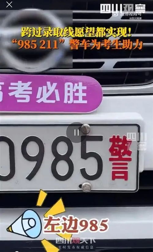 南阳县城汽车牌照多少 南阳县城汽车牌照多少