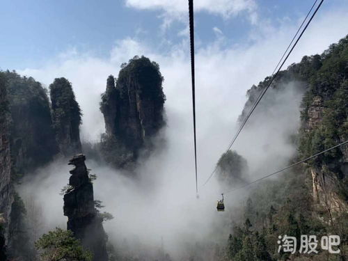 张家界到长沙汽车多少钱