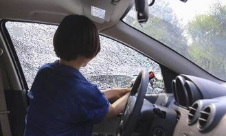 共享汽车前玻璃多少钱