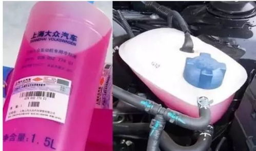 东莞汽车防冻液价格多少