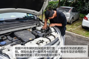 换汽车保险丝多少钱
