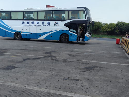 柳州到瑞安汽车要多少