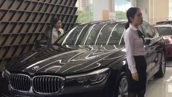 汽车嘴子多少钱