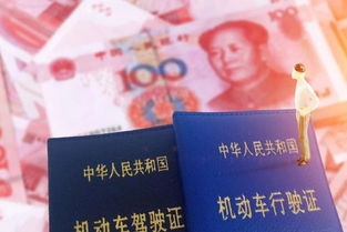 补办汽车登记证多少钱