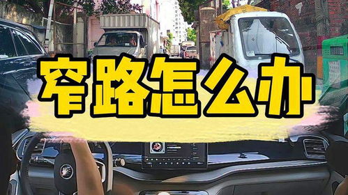 上饶汽车陪练价格多少