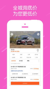 汽车大师咨询费用多少啊