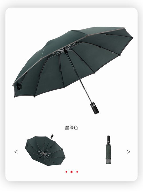 汽车安全伞多少费用