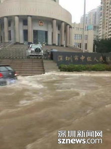 深圳地铁已被暴雨攻占