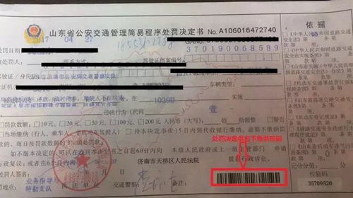 青海汽车罚款多少(青海汽车罚款标准详解)