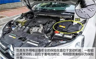 一台汽车有多少个保险丝(汽车保险丝数量解析)