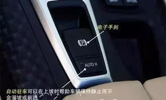 一台汽车有多少个按扭(汽车内部按键详解，一台汽车究竟有多少个按钮？