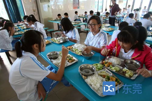 校长亲自干食堂 感慨:比外包难太多(校长亲自干食堂，深度体验背后的感慨与挑战)