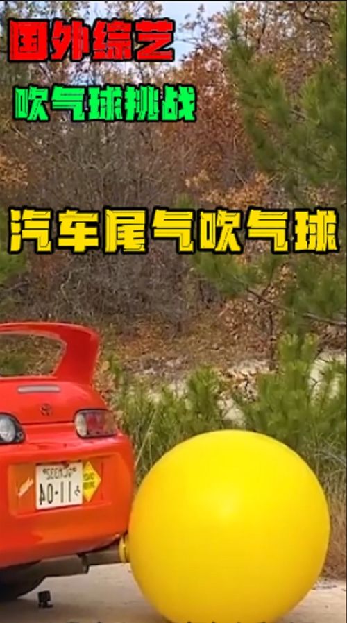 汽车尾气管加气球多少钱(汽车尾气管加装气球，价格及影响因素详解)