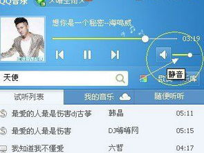 华为电脑烫手怎么办解决(解决华为电脑烫手问题的实用指南)
