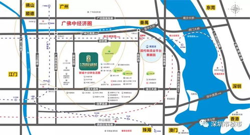 汽车一次性扣24分多少(汽车一次性扣24分到底意味着多少？解读交通法规背后的数字含义)