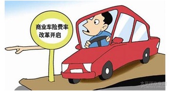 汽车保险公司保费多少钱(汽车保险公司保费多少钱，全面解析与影响因素探讨)