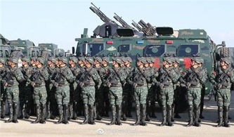 新一军有多少汽车兵(新一军汽车兵数量概况)
