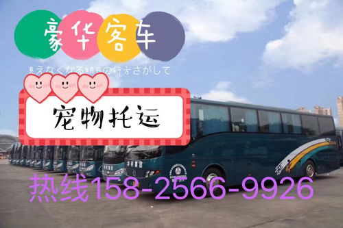 鱼台至苏州汽车票多少钱(鱼台至苏州汽车票价详解，一路行程，一价到底)