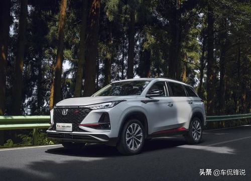 小汽车前门门衬多少钱(小汽车前门门衬价格详解，市场因素与成本分析)