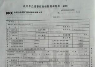 汽车交强险能赔多少次(汽车交强险能赔多少次，深度解析与案例分析)