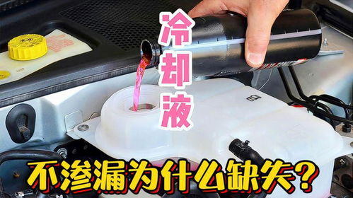 冬天汽车加冷却液多少升(冬天汽车加冷却液需要多少升?全面解析汽车冷却液的重要性及添加量) 冬天汽车加冷却液多少升(冬天汽车加冷却液需要多少升?全面解析汽车冷却液的重要性及添加量)