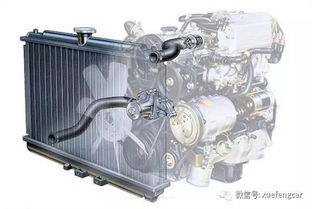 汽车散热器隔栏多少钱(汽车散热器隔栏价格解析，多少钱才是合理的选择？