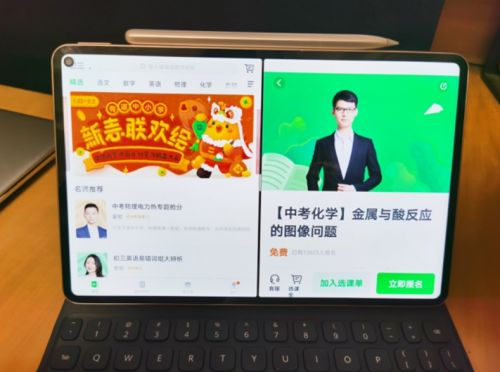 华为平板电脑怎么溜狗(华为平板电脑与溜狗新体验，科技如何助力宠物爱好者享受独特时光)