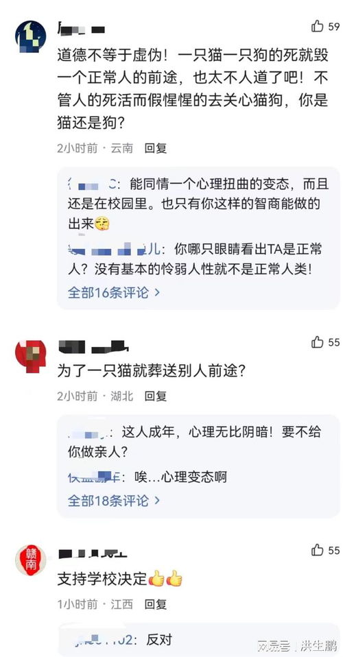 虐猫考生被取消招聘资格(虐猫考生被取消招聘资格，道德底线与职业操守的双重审视)