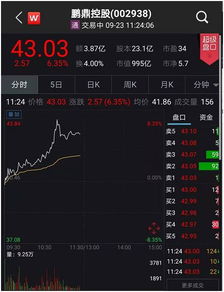 华为股票app电脑怎么下载(华为股票APP电脑版下载指南)