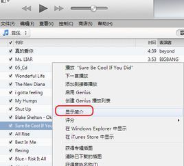 华为电脑itunes怎么下载(华为电脑iTunes下载指南)