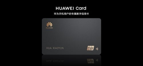 华为麒麟电脑怎么联网(华为麒麟电脑联网设置详解)