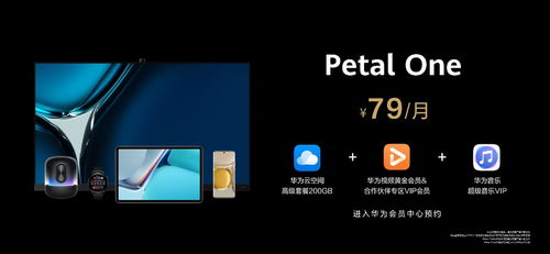 华为音乐怎么电脑播放(华为音乐电脑播放指南，轻松享受高品质音乐体验)