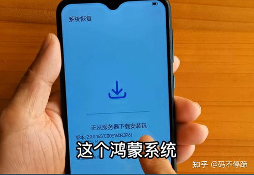 华为手机怎么查电