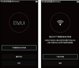华为手机怎么强制数据
