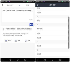 华为手机怎么翻译页面