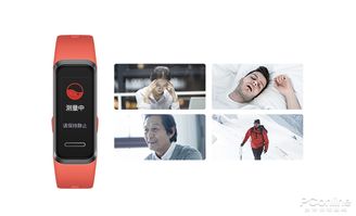 怎么测试华为手机健康