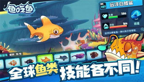 大鱼游戏攻略 VS 哈希游戏攻略