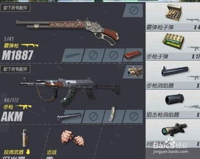 游戏枪械配置攻略 VS 欺负散兵游戏攻略