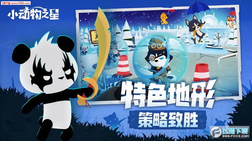阜阳游戏攻略 VS 动物之心游戏攻略